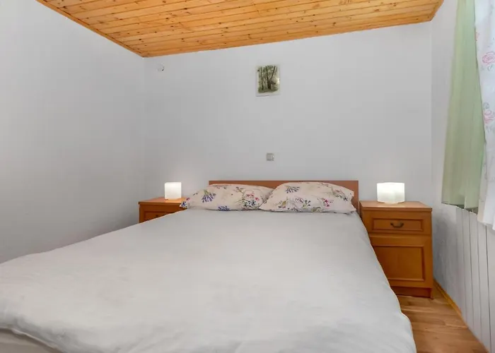 2 Bedroom Pet Friendly In Breze בית נופש Breza